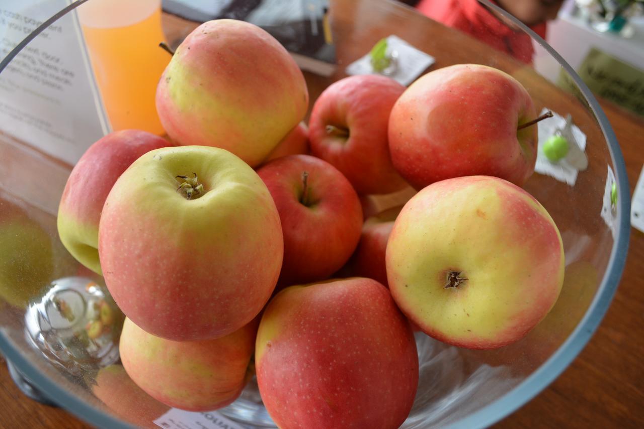 The Apple Inn Batlow ภายนอก รูปภาพ